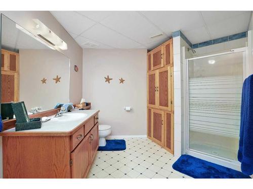 86-28319 Township Road 384, Rural Red Deer County, AB - Indoor Photo Showing Bathroom