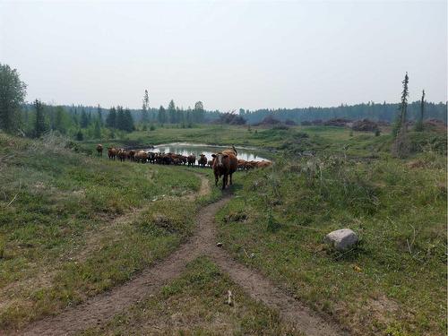 11115 Township Road 532, Rural Yellowhead County, AB 