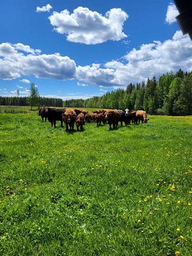 11115 Township Road 532, Rural Yellowhead County, AB 