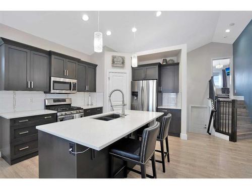 110 Lalor Drive, Red Deer, AB - Indoor Photo Showing Kitchen With Stainless Steel Kitchen With Double Sink With Upgraded Kitchen