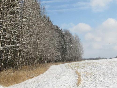 Range Road 5-0, Rural Clearwater County, AB 