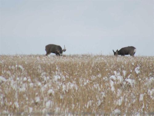 Range Road 5-0, Rural Clearwater County, AB 