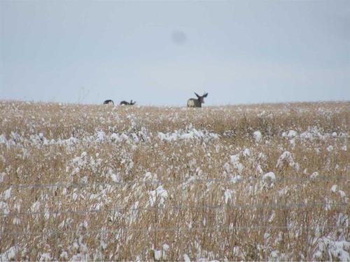 Range Road 5-0, Rural Clearwater County, AB 