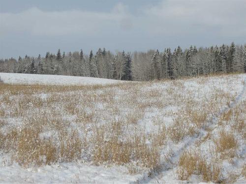 Range Road 5-0, Rural Clearwater County, AB 