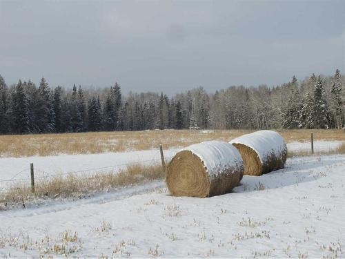 Range Road 5-0, Rural Clearwater County, AB 