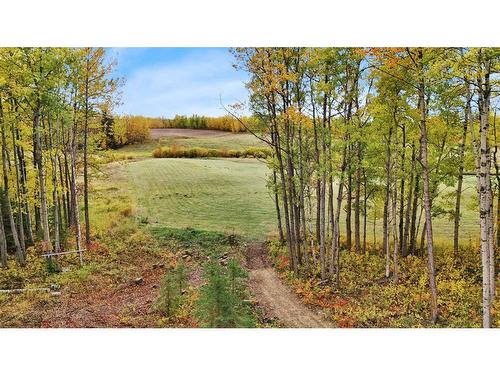 4-13033 424 Township, Rural Ponoka County, AB - Outdoor With View