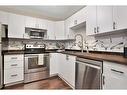 58 Lakeview Crescent, Sylvan Lake, AB  - Indoor Photo Showing Kitchen With Double Sink 