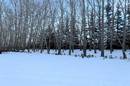 On Township Road 424, Rural Ponoka County, AB 