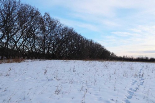 On Township Road 424, Rural Ponoka County, AB 
