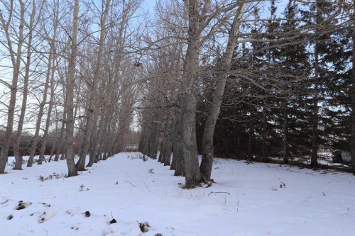 On Township Road 424, Rural Ponoka County, AB 