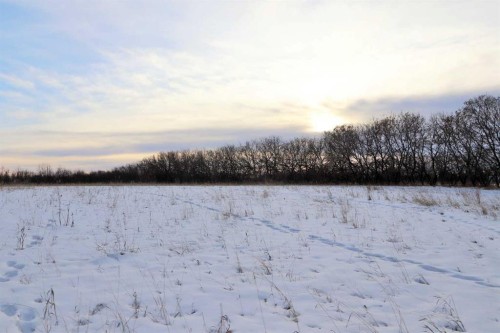 On Township Road 424, Rural Ponoka County, AB 