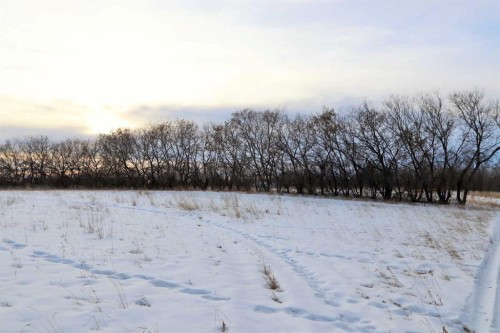 On Township Road 424, Rural Ponoka County, AB 