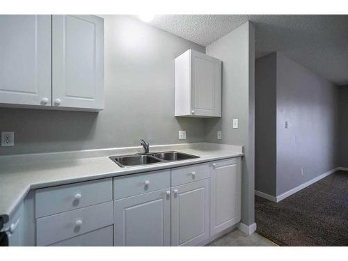 105B-4917 68 Street, Camrose, AB - Indoor Photo Showing Kitchen With Double Sink