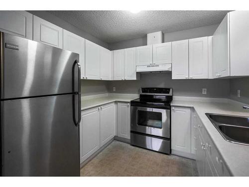 105B-4917 68 Street, Camrose, AB - Indoor Photo Showing Kitchen With Double Sink