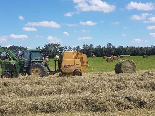 390039 Range Road 5-4 Range, Rural Clearwater County, AB 