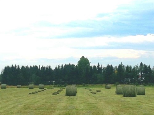 390039 Range Road 5-4 Range, Rural Clearwater County, AB 