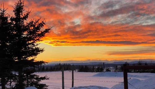 390039 Range Road 5-4 Range, Rural Clearwater County, AB 