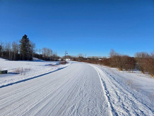 309 Wolf Run Drive, Rural Ponoka County, AB 
