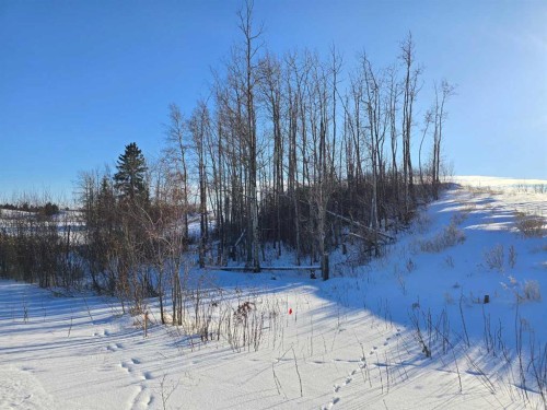 309 Wolf Run Drive, Rural Ponoka County, AB 