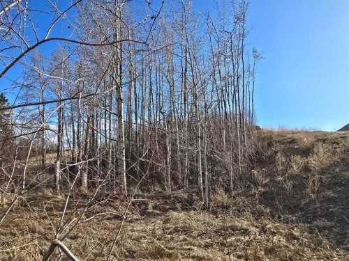 309 Wolf Run Drive, Rural Ponoka County, AB 