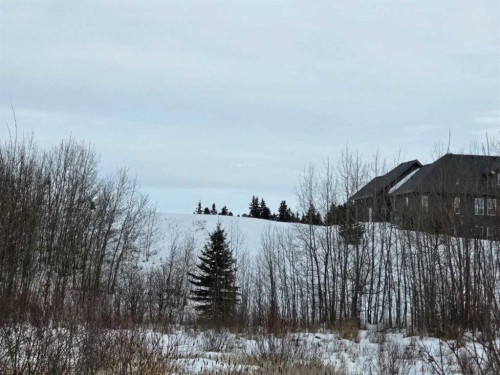 309 Wolf Run Drive, Rural Ponoka County, AB 
