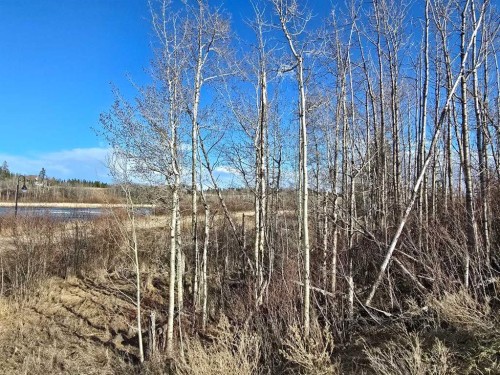309 Wolf Run Drive, Rural Ponoka County, AB 