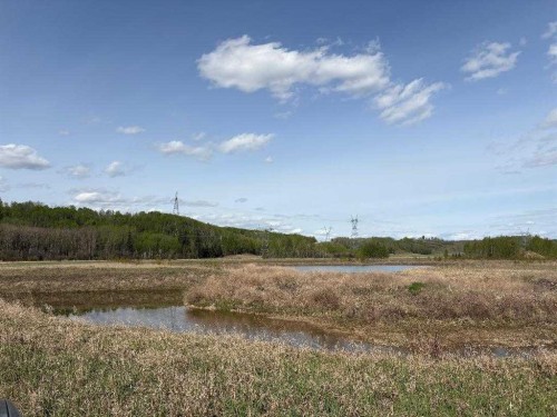 Twp 512A Rr 31, Rural Leduc County, AB 