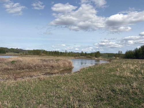 Twp 512A Rr 31, Rural Leduc County, AB 
