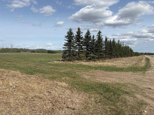 Twp 512A Rr 31, Rural Leduc County, AB 