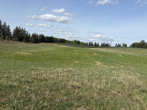 Twp 512A Rr 31, Rural Leduc County, AB 