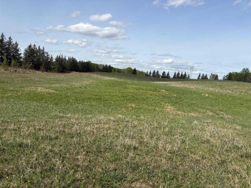 Twp 512A Rr 31, Rural Leduc County, AB 