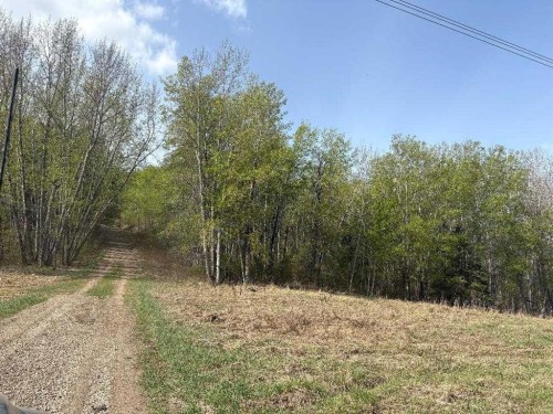 Twp 512A Rr 31, Rural Leduc County, AB 