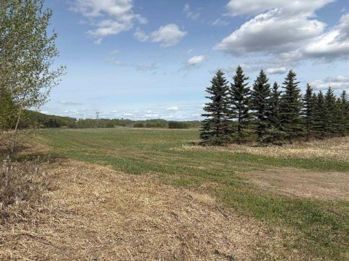 Twp 512A Rr 31, Rural Leduc County, AB 