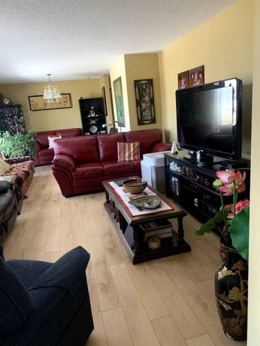 4913 Parkview Crescent, Castor, AB - Indoor Photo Showing Living Room