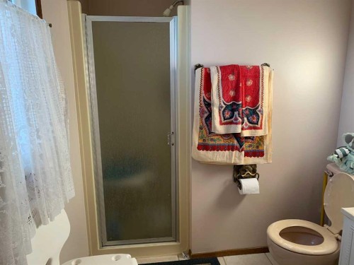 4913 Parkview Crescent, Castor, AB - Indoor Photo Showing Bathroom