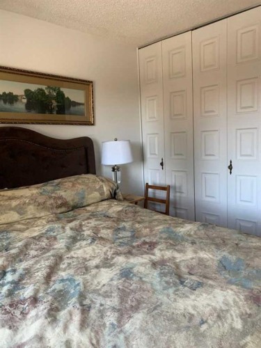 4913 Parkview Crescent, Castor, AB - Indoor Photo Showing Bedroom