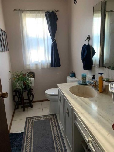 4913 Parkview Crescent, Castor, AB - Indoor Photo Showing Bathroom