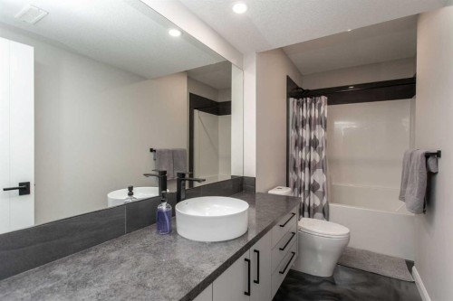 299-27475 Township Road 380, Rural Red Deer County, AB - Indoor Photo Showing Bathroom