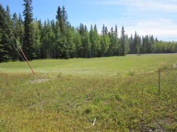 52 BOUNDARY Close  Rural Clearwater County, AB T0M 0M0