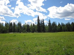 48 BOUNDARY Close  Rural Clearwater County, AB T0M 0M0
