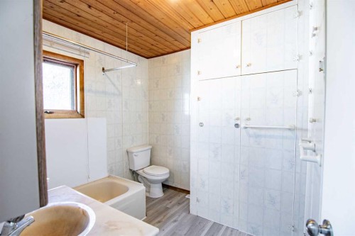 39061 Range Road 220, Rural Stettler No. 6, County Of, AB - Indoor Photo Showing Bathroom