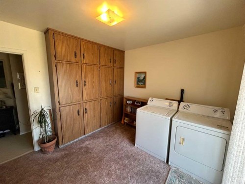 5405 50 Street, Castor, AB - Indoor Photo Showing Laundry Room