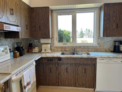 5405 50 Street, Castor, AB - Indoor Photo Showing Kitchen With Double Sink