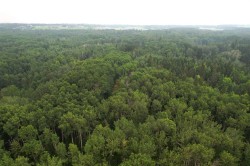 On Range Road 14  Rural Ponoka County, AB T0C 2J0