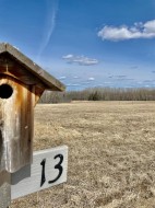 146 Bruhn Boulevard  Rural Ponoka County, AB T0C 2J0