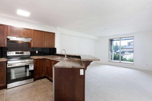 3105-60 Panatella Street Nw, Calgary, AB - Indoor Photo Showing Kitchen With Double Sink
