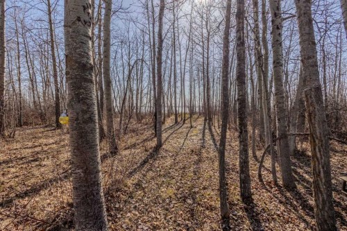 7-41310 282 Range Road, Rural Lacombe County, AB 