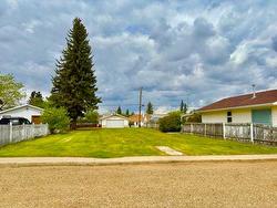 5012 48 Street  Hardisty, AB T0B 1V0