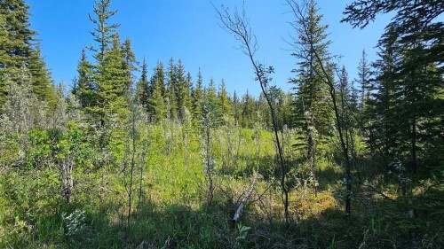 4-34364 Range Road 42, Rural Mountain View County, AB 