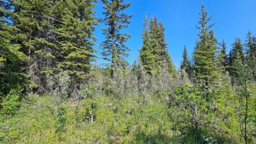 4-34364 Range Road 42, Rural Mountain View County, AB 